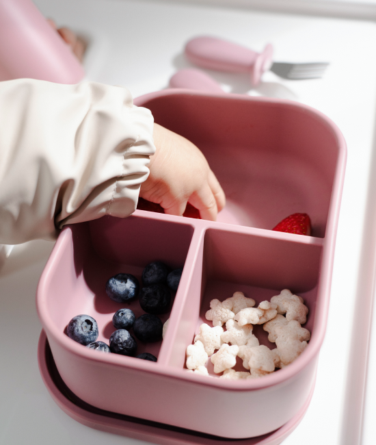 Bento Box
