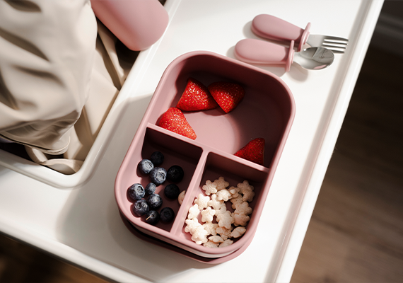 Bento Box