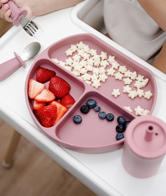 Silicone Suction Plate