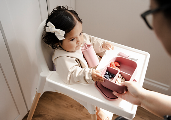 Bento Box